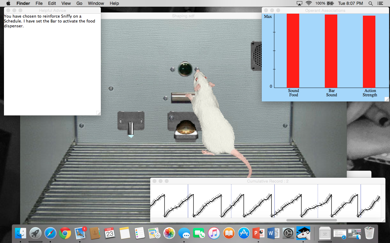 Sniffy the virtual rat answers